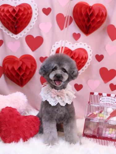 20240214るいくん